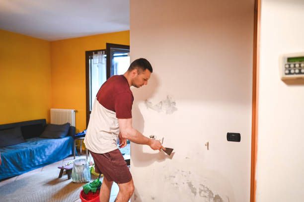 Best Mold Remediation for Schools in Minerva Park, OH